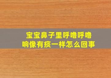 宝宝鼻子里呼噜呼噜响像有痰一样怎么回事