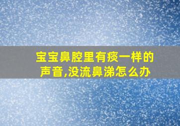 宝宝鼻腔里有痰一样的声音,没流鼻涕怎么办