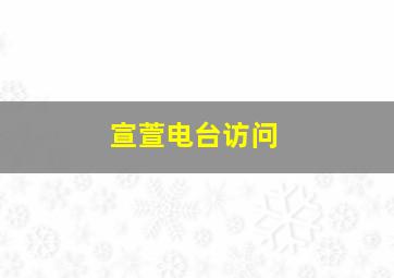 宣萱电台访问