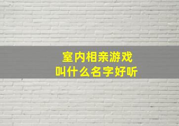 室内相亲游戏叫什么名字好听