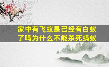 家中有飞蚁是已经有白蚁了吗为什么不能杀死蚂蚁