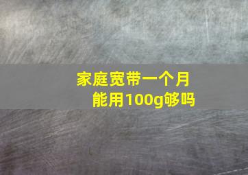 家庭宽带一个月能用100g够吗