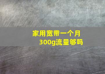 家用宽带一个月300g流量够吗