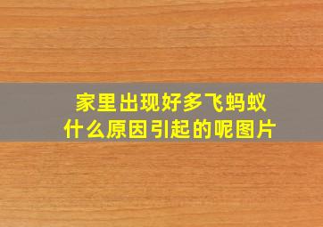 家里出现好多飞蚂蚁什么原因引起的呢图片