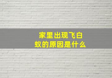 家里出现飞白蚁的原因是什么