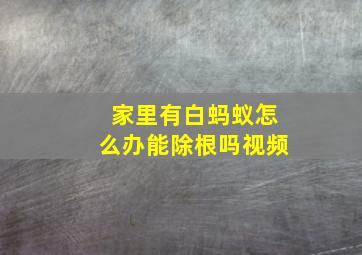 家里有白蚂蚁怎么办能除根吗视频