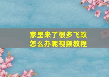 家里来了很多飞蚁怎么办呢视频教程