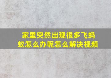 家里突然出现很多飞蚂蚁怎么办呢怎么解决视频