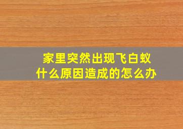 家里突然出现飞白蚁什么原因造成的怎么办