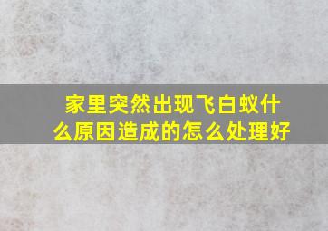 家里突然出现飞白蚁什么原因造成的怎么处理好