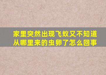 家里突然出现飞蚁又不知道从哪里来的虫卵了怎么回事