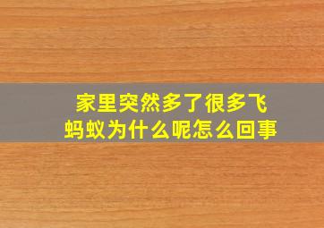 家里突然多了很多飞蚂蚁为什么呢怎么回事