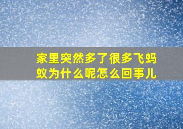 家里突然多了很多飞蚂蚁为什么呢怎么回事儿