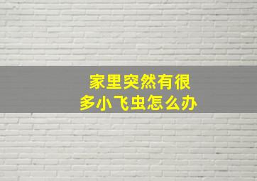 家里突然有很多小飞虫怎么办