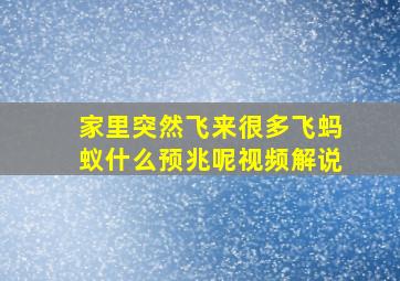 家里突然飞来很多飞蚂蚁什么预兆呢视频解说