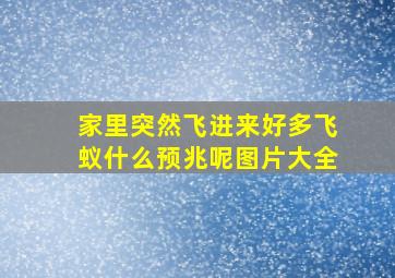 家里突然飞进来好多飞蚁什么预兆呢图片大全