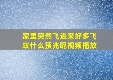 家里突然飞进来好多飞蚁什么预兆呢视频播放