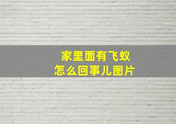 家里面有飞蚁怎么回事儿图片