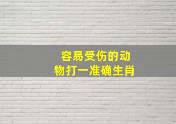 容易受伤的动物打一准确生肖