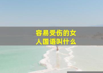 容易受伤的女人国语叫什么