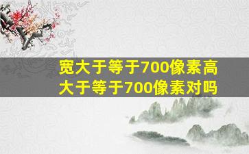 宽大于等于700像素高大于等于700像素对吗