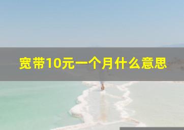 宽带10元一个月什么意思