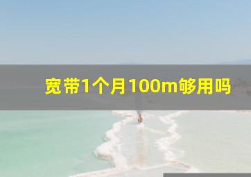 宽带1个月100m够用吗