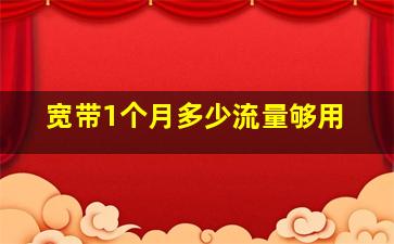 宽带1个月多少流量够用