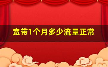 宽带1个月多少流量正常