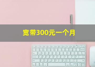 宽带300元一个月