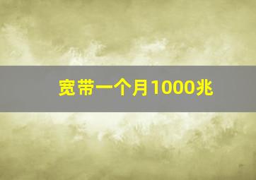 宽带一个月1000兆