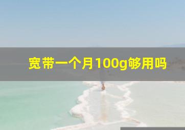 宽带一个月100g够用吗