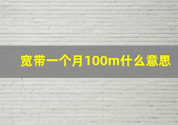 宽带一个月100m什么意思