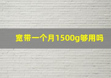 宽带一个月1500g够用吗