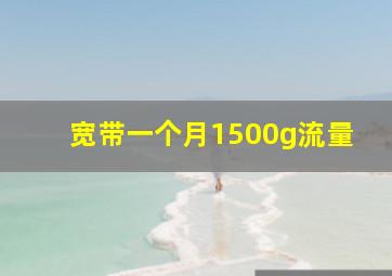 宽带一个月1500g流量