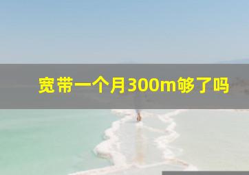 宽带一个月300m够了吗