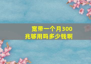 宽带一个月300兆够用吗多少钱啊