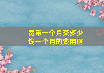 宽带一个月交多少钱一个月的费用啊