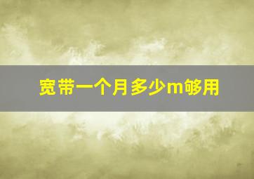 宽带一个月多少m够用