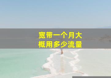 宽带一个月大概用多少流量