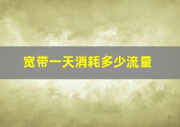 宽带一天消耗多少流量