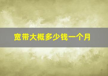 宽带大概多少钱一个月