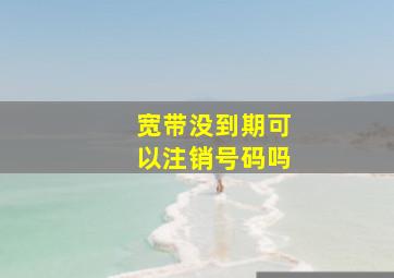 宽带没到期可以注销号码吗