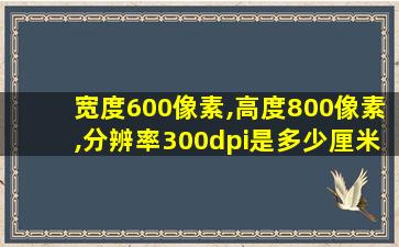 宽度600像素,高度800像素,分辨率300dpi是多少厘米