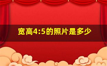 宽高4:5的照片是多少