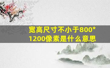 宽高尺寸不小于800*1200像素是什么意思