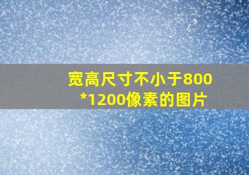 宽高尺寸不小于800*1200像素的图片