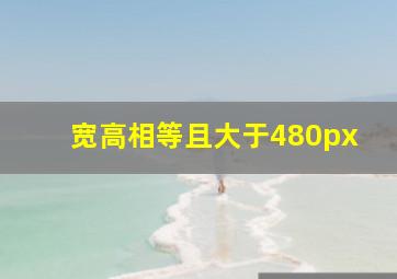 宽高相等且大于480px