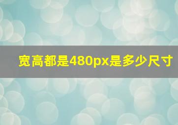 宽高都是480px是多少尺寸