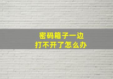 密码箱子一边打不开了怎么办